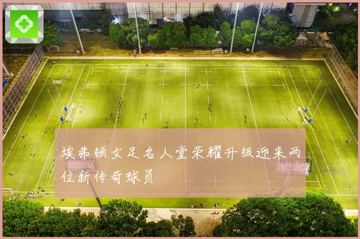 埃弗顿女足名人堂荣耀升级迎来两位新传奇球员