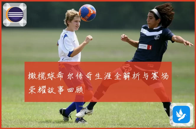 橄榄球希尔传奇生涯全解析与赛场荣耀故事回顾