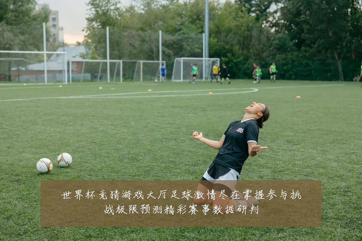 世界杯竞猜游戏大厅足球激情尽在掌握参与挑战极限预测精彩赛事数据研判